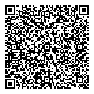 QR код "Бис"