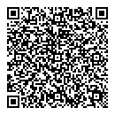 QR код "SneGOvic"