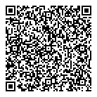 QR код "Высшая Лига"