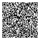 QR код "Профессионал"