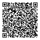 QR код "Инсистемс"