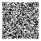 QR код "Домино"