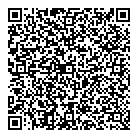 QR код "Созвездие Н"