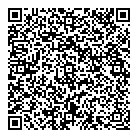 QR код "Глобус"