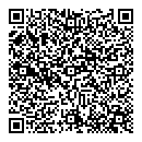 QR код "Алиса"