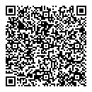 QR код "Линза"