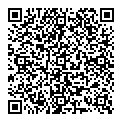 QR код "DOMINO"