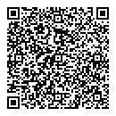 QR код "DOMINO"