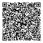 QR код "Галактика"