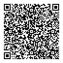 QR код "Выбор"