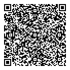 QR код "Звездный"
