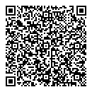 QR код "ДИНАМО"