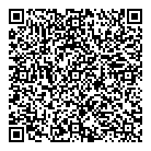QR код "Динамо"