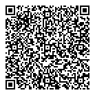 QR код "ДНС"