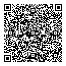 QR код "D-Сolor"