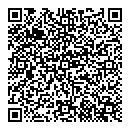 QR код "Блеск"