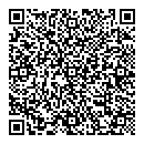 QR код "100 пил"