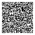 QR код "Созвездие"