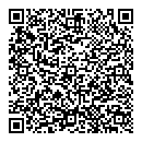 QR код "Лавина"