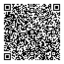 QR код "Solo"