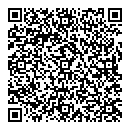 QR код "Венеция"
