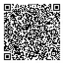 QR код "Indigo"