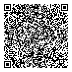 QR код "33 пингвина"