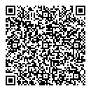 QR код "да Винчи"