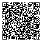 QR код "Звёздный"