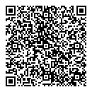 QR код "Арт Che"