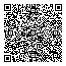 QR код "Синий слон"