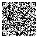 QR код "Домино"