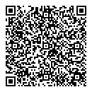 QR код "Динго"
