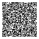 QR код "585"