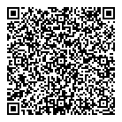 QR код "Глобус"
