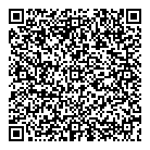 QR код "Глобус"