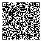 QR код "Глобус"