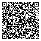 QR код "220 вольт"