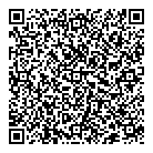 QR код "Созвездие"