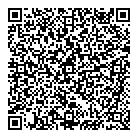 QR код "Созвездие"