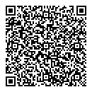 QR код "Мир копий"