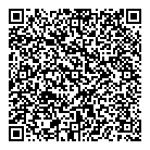 QR код "Викинг-Видео"