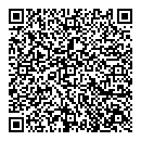 QR код "Спутник"
