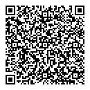 QR код "Лучики"