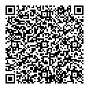 QR код "Brigidin"