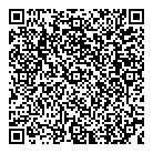 QR код "Finn Flare"