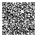 QR код "Camelot"
