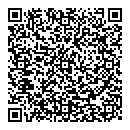 QR код "Voronin"