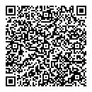 QR код "Игрушки"
