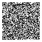 QR код "Авиционный"